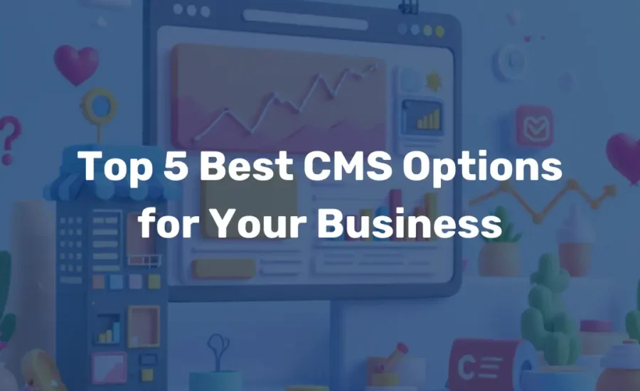 Top 5 Best CMS Options for Your Business